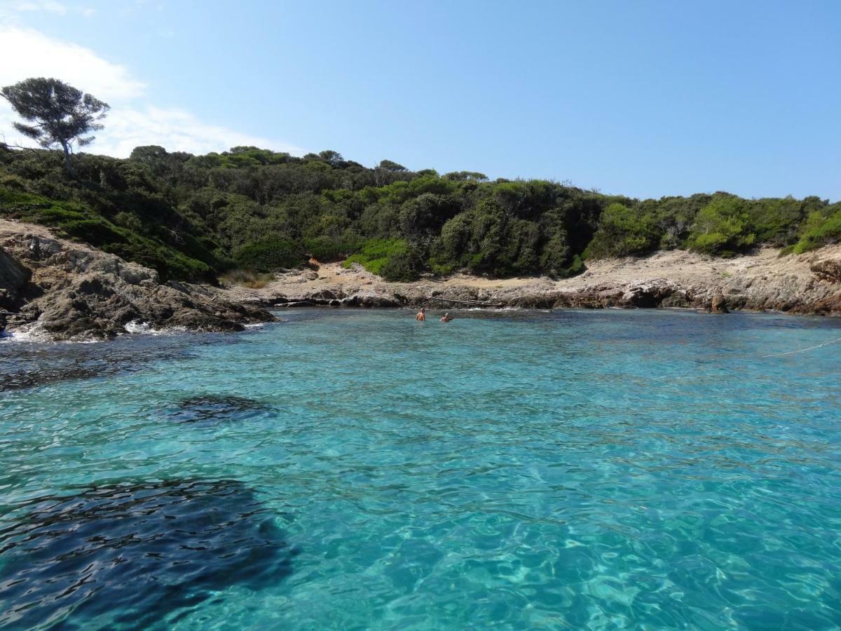 Petit Moulin-T3 Giens-Clim-Parking Apartment Hyères Екстериор снимка